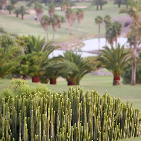 Terrazas 22 By Villagrancanaria *